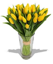 Kytice lut tulipny kvetiny