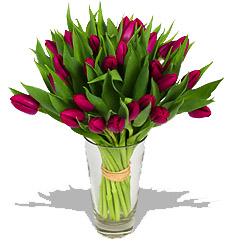 Kytice Fialov tulipny kvetiny