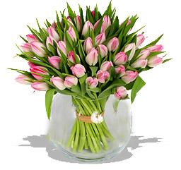 Kytice Rov tulipny kvetiny