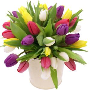 Kytice Mix tulipny kvetiny