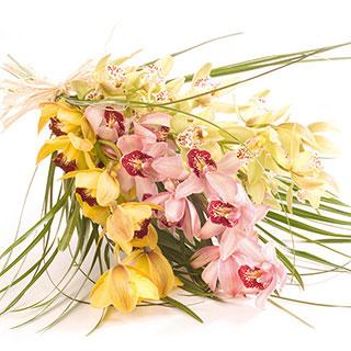 Kytice Kytice orchidej kvetiny